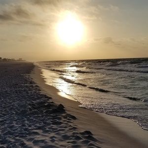 Meet your Posher, Wanda